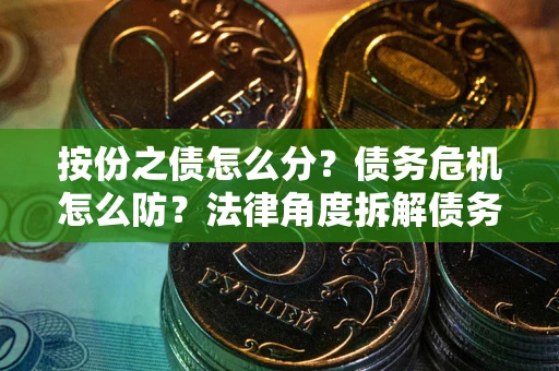 武汉按份之债怎么分？债务危机怎么防？法律角度拆解债务分配与风险自保指南