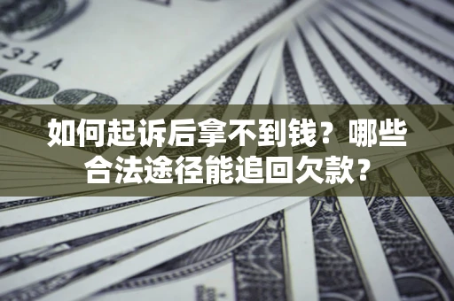 武汉如何起诉后拿不到钱？哪些合法途径能追回欠款？