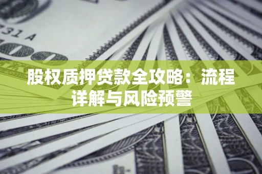 武汉股权质押贷款全攻略：流程详解与风险预警