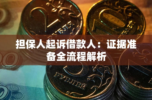 武汉担保人起诉借款人：证据准备全流程解析
