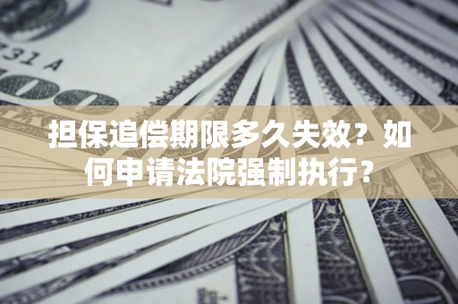 武汉担保追偿期限多久失效？如何申请法院强制执行？