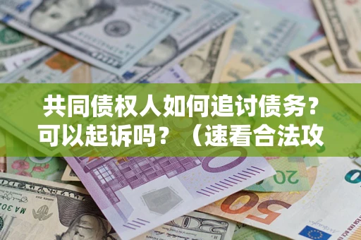 武汉共同债权人如何追讨债务？可以起诉吗？（速看合法攻略）