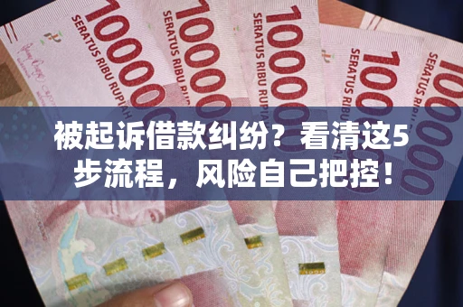 武汉被起诉借款纠纷？看清这5步流程，风险自己把控！