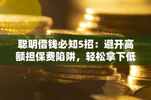 武汉聪明借钱必知5招：避开高额担保费陷阱，轻松拿下低息贷款