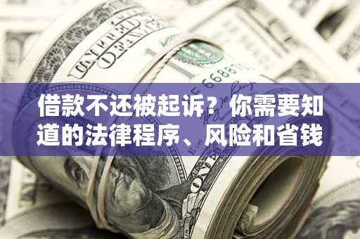 武汉借款不还被起诉？你需要知道的法律程序、风险和省钱技巧